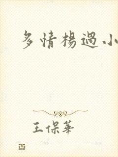 多情杨过小说封面