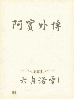阿宾外传