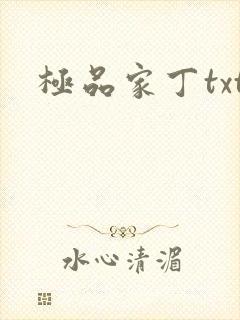 极品家丁txt封面