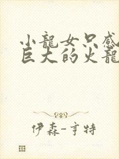 小龙女只感觉那巨大的火龙枪封面