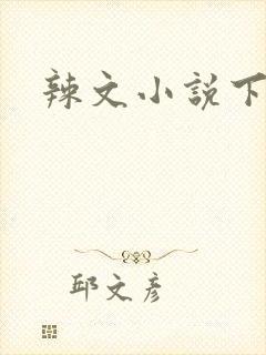 辣文小说下载