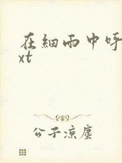 在细雨中呼喊txt