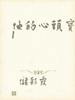 他的心头宝1v1封面
