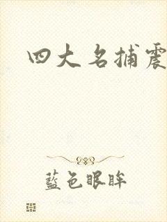 四大名捕震关东