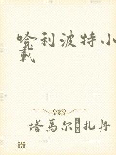 哈利波特小说下载封面