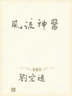 风流神医封面