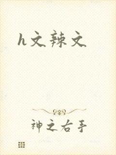 h文辣文封面