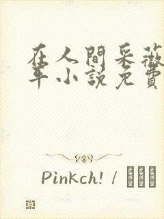 在人间采薇陆三平小说免费阅读
