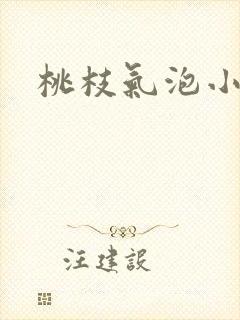桃枝气泡小说