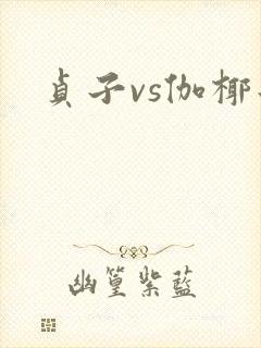 贞子vs伽椰子