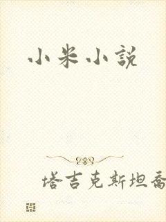 小米小说