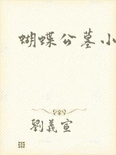 蝴蝶公墓小说