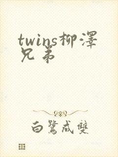 twins柳泽兄弟封面
