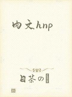 肉文hnp