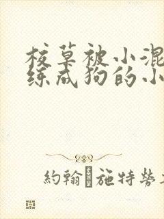校草被小混混训练成狗的小说