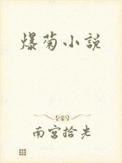 爆菊小说