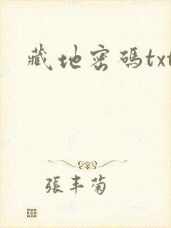 藏地密码txt