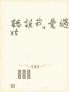 听说我爱过你txt封面