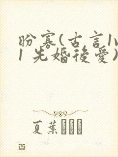 盼寡(古言1v1 先婚后爱)荔枝好多