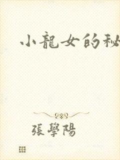 小龙女的秘密封面