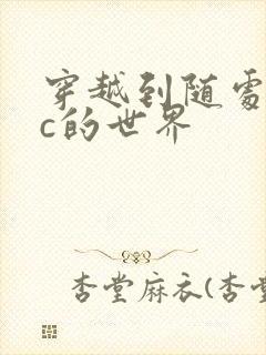 穿越到随处可以c的世界