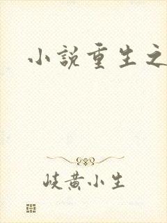 小说重生之官道
