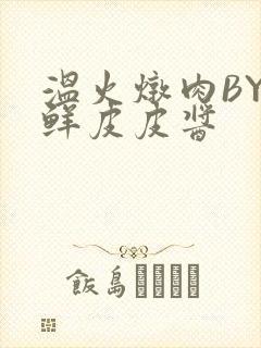 温火炖肉BY海鲜皮皮酱封面