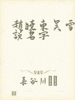 赵晓东吴雪晴小说名字封面