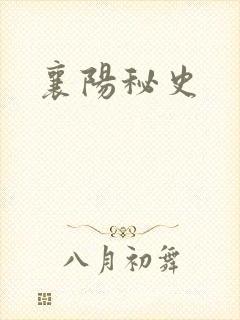 襄阳秘史