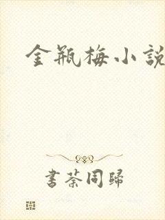 金瓶梅小说