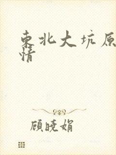 东北大坑原始激情封面