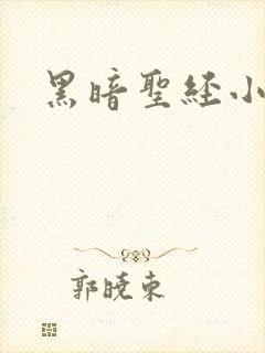 黑暗圣经小说封面
