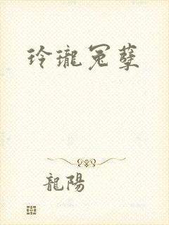 玲珑冤孽封面