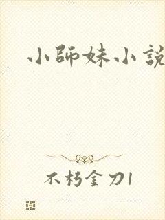 小师妹小说
