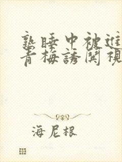 熟睡中被进了H青梅诱哄视频