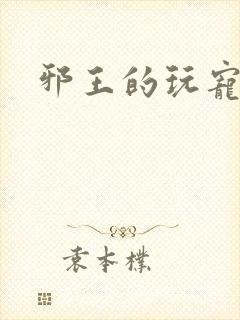 邪王的玩宠封面