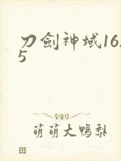 刀剑神域16.5封面