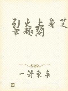 引火上身芝麻糖笔趣阁