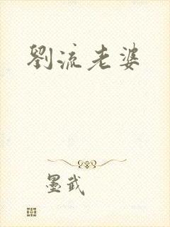 刘流老婆