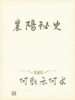 襄阳秘史
