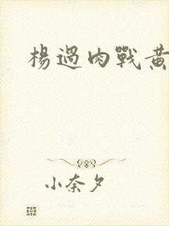 杨过肉战黄蓉