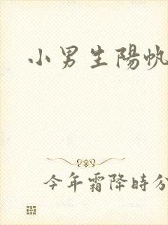 小男生阳帆