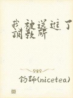 我被送进了私奴调教所