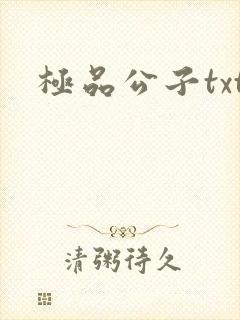 极品公子txt