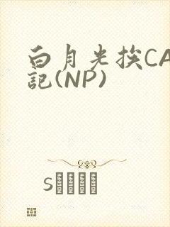 白月光挨CAO记(NP)