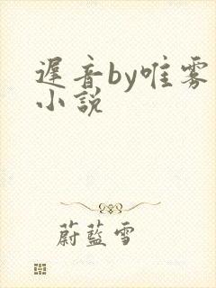 迟音by唯雾的小说