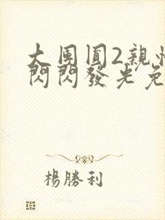 大团圆2亲情会闪闪发光免费封面