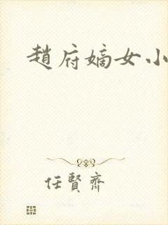 赵府嫡女小说