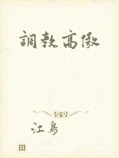 调教高傲封面