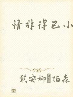 情非得已小说